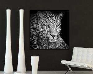 Quadro su tela ARTE 50x50cm LEOPARD del brand Lupia, categoria: Arredo e decorazioni > Quadri e Tele > Quadri bianco e nero.