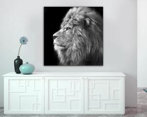 Quadro su tela ARTE 50x50cm THE LION del brand Lupia, categoria: Arredo e decorazioni > Quadri e Tele > Quadri bianco e nero.