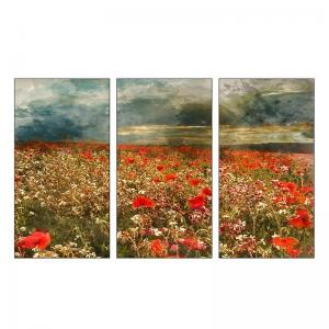 Collezione Set 3 pezzi Quadri su Tela FIELD OF POPPIES            - 43x43 cm del brand Lupia, categoria: Arredo e decorazioni > Quadri e Tele > Quadri a pannelli.