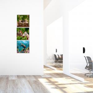 Set 3 pezzi Quadri su tela Canvas Day 38x38 cm ANIMALS del brand Lupia, categoria: Arredo e decorazioni > Quadri e Tele > Quadri su tela.