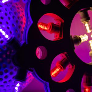 Lampada da Parete in Legno ROSONE con GIGLI Grande 52x52 cm LUMINARIA d'arredo pugliese 28 lampadine - Lampadine Colorate del brand Lupia, categoria: Artigianato salentino > Luminarie Salentine > Luminaria.