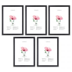 SET Cornici in legno da parete OPTICAL colorazione NERA con vetro Portafoto, stampe, poster, documenti - Set 5pz 10x15 cm del brand Lupia, categoria: Arredo e decorazioni > Cornici e Portafoto > Cornici portafoto da parete, disponibile su Vorreishop.