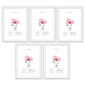 SET Cornici in legno da parete OPTICAL colorazione BIANCA con vetro Portafoto, stampe, poster, documenti - Set 5pz 10x15 cm del brand Lupia, categoria: Arredo e decorazioni > Cornici e Portafoto > Cornici portafoto da parete, disponibile su Vorreishop.