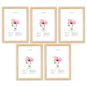 SET Cornici in legno da parete OPTICAL colorazione NATURAL con vetro Portafoto, stampe, poster, documenti - Set 5pz 10x15 cm del brand Lupia, categoria: Arredo e decorazioni > Cornici e Portafoto > Cornici portafoto da tavolo, disponibile su Vorreishop.