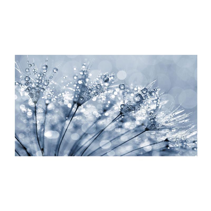 Quadro moderno lucido in plexiglass 100x150 cm DANDELION BLU del brand Lupia, categoria: Arredo e decorazioni > Quadri e Tele > Quadri bianco e nero, disponibile su Vorreishop.