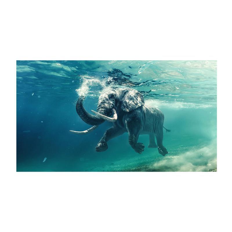 Quadro moderno lucido in plexiglass 100x150 cm ELEPHANT IN THE WATER del brand Lupia, categoria: Arredo e decorazioni > Quadri e Tele > Quadri su Plexiglass, disponibile su Vorreishop.