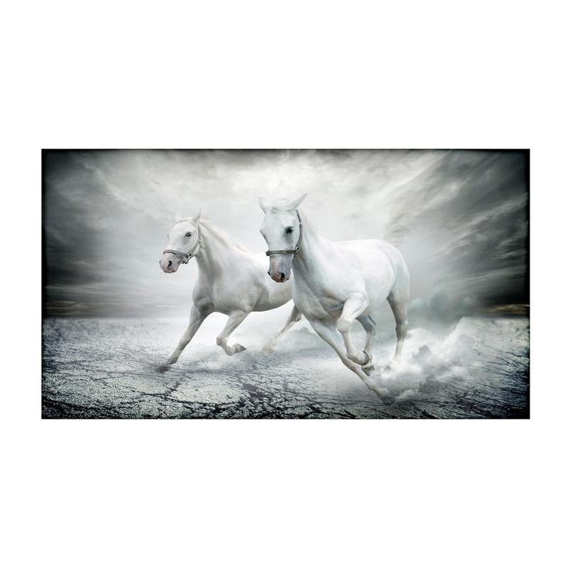 Quadro moderno lucido in plexiglass 100x180 cm CAVALLI BIANCHI del brand Lupia, categoria: Arredo e decorazioni > Quadri e Tele > Quadri su Plexiglass, disponibile su Vorreishop.