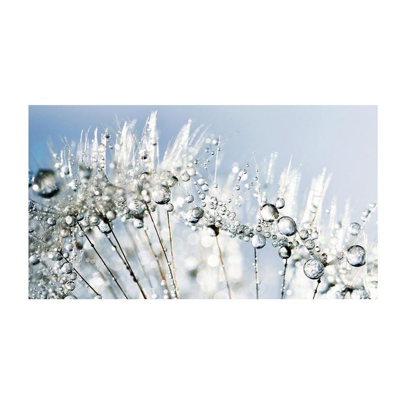 Quadro moderno lucido in plexiglass 100x180 cm DANDELION WHITE del brand Lupia, categoria: Arredo e decorazioni > Quadri e Tele > Quadri su Plexiglass, disponibile su Vorreishop.