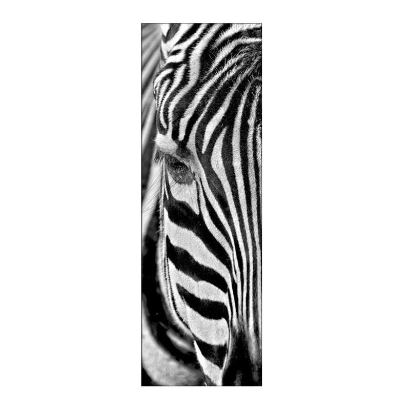 Quadro moderno lucido in plexiglass 50x150 cm ZEBRA'S EYE del brand Lupia, categoria: Arredo e decorazioni > Quadri e Tele > Quadri su Plexiglass, disponibile su Vorreishop.