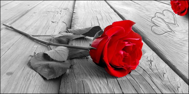 Quadro su tela canvas DEEP 100X180 PASSIONE del brand Lupia, categoria: Arredo e decorazioni > Quadri e Tele > Quadri su tela, disponibile su Vorreishop.