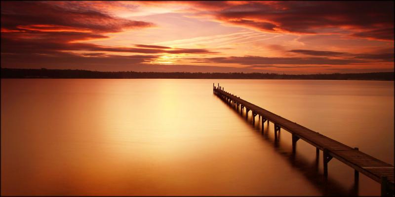 Quadro su tela canvas DEEP 100X180 REED del brand Lupia, categoria: Arredo e decorazioni > Quadri e Tele > Quadri su tela, disponibile su Vorreishop.