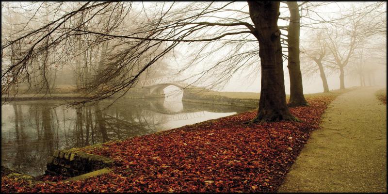 Quadro su tela canvas DEEP 100X180 RIVER BRIDGE del brand Lupia, categoria: Arredo e decorazioni > Quadri e Tele > Quadri su tela, disponibile su Vorreishop.