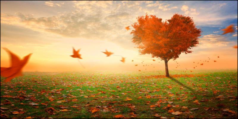 Quadro su tela canvas DEEP 62X115 FOGLIE AL VENTO del brand Lupia, categoria: Arredo e decorazioni > Quadri e Tele > Quadri su tela, disponibile su Vorreishop.