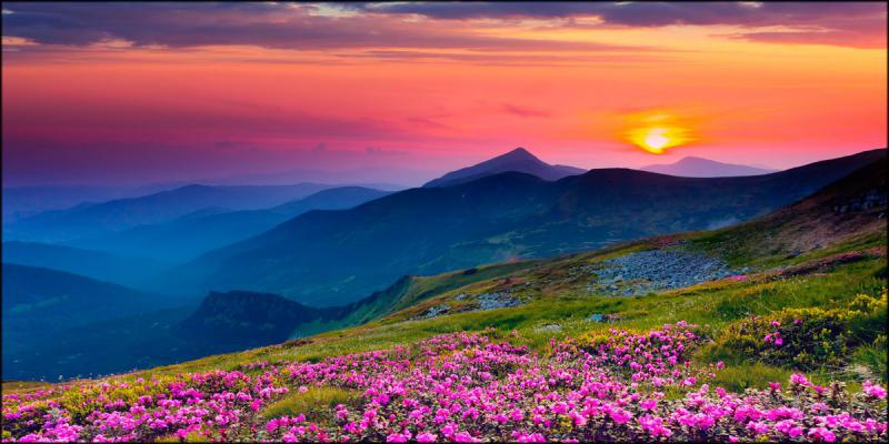 Quadro su tela canvas DEEP 77X143 ALBA BLU del brand Lupia, categoria: Arredo e decorazioni > Quadri e Tele > Quadri su tela, disponibile su Vorreishop.