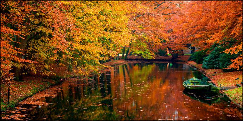 Quadro su tela canvas DEEP 77X143 AUTUNNO del brand Lupia, categoria: Arredo e decorazioni > Quadri e Tele > Quadri su tela, disponibile su Vorreishop.