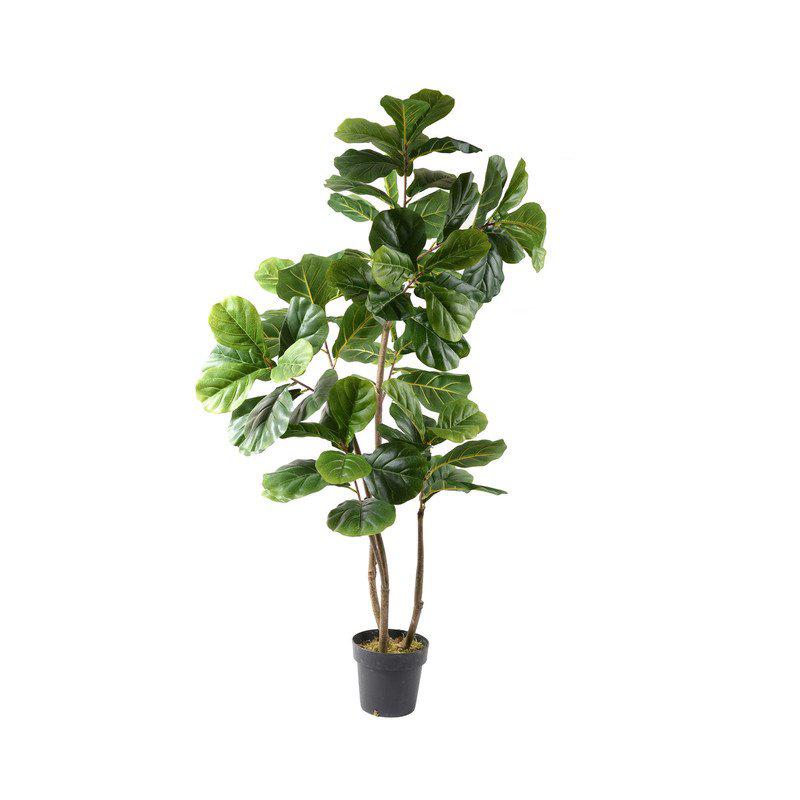 Pianta artificiale di Fico in Vaso 160 cm del brand Lupia, categoria: Complementi d'arredo > Piante artificiali > Piante artificiali con Vaso, disponibile su Vorreishop.