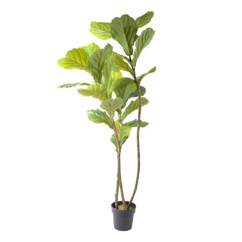 Pianta artificiale di Fico in Vaso 170 cm del brand Lupia, categoria: Complementi d'arredo > Piante artificiali > Piante artificiali con Vaso, disponibile su Vorreishop.