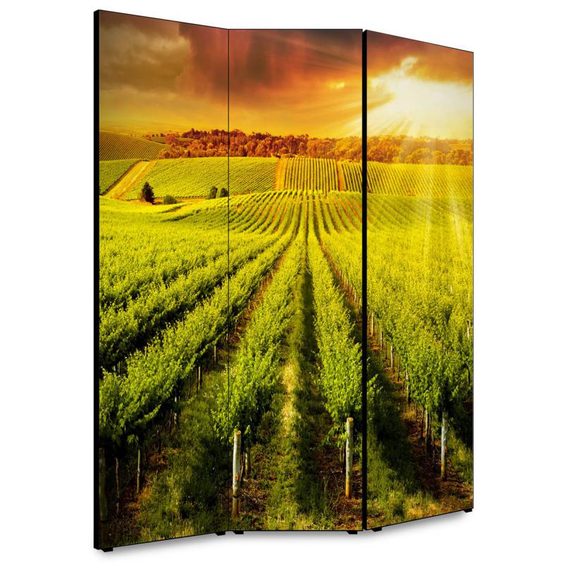 Separe' per interni, Divisorio 135,6 x H 176 x P 3,1 cm IL VIGNETO paravento 3 Ante in legno con Tele stampate fronte retro Soggetto unico del brand Lupia, categoria: Complementi d'arredo > Paraventi e separÃ¨ > Paraventi decorativi bifacciali, disponibile su Vorreishop.