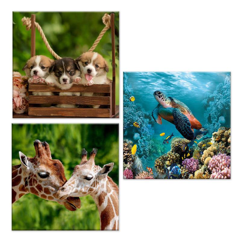 Set 3 pezzi Quadri su tela Canvas Day 38x38 cm ANIMALS del brand Lupia, categoria: Arredo e decorazioni > Quadri e Tele > Quadri su tela, disponibile su Vorreishop.