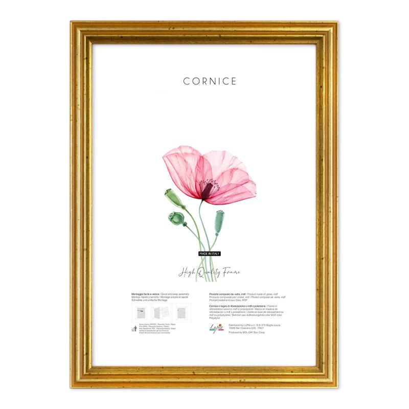 Cornice portafoto Oro da parete BLITZ dorata, per foto, stampe artistiche, poster, quadri moderni - 10x15 cm del brand Lupia, categoria: Arredo e decorazioni > Cornici e Portafoto > Cornici portafoto da parete, disponibile su Vorreishop.