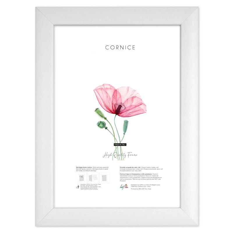 Cornice portafoto in legno da parete RAINBOW White, per foto, stampe artistiche, poster, quadri moderni - 20x25 cm del brand Lupia, categoria: Arredo e decorazioni > Cornici e Portafoto > Cornici portafoto da parete, disponibile su Vorreishop.