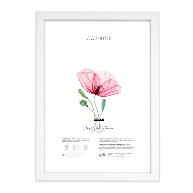 Cornice foto legno KRONOS Bianca, per stampe, pergamene diplomi, poster, quadri moderni - 20x30 cm VETRO del brand Lupia, categoria: Arredo e decorazioni > Cornici e Portafoto > Cornici portafoto da tavolo, disponibile su Vorreishop.