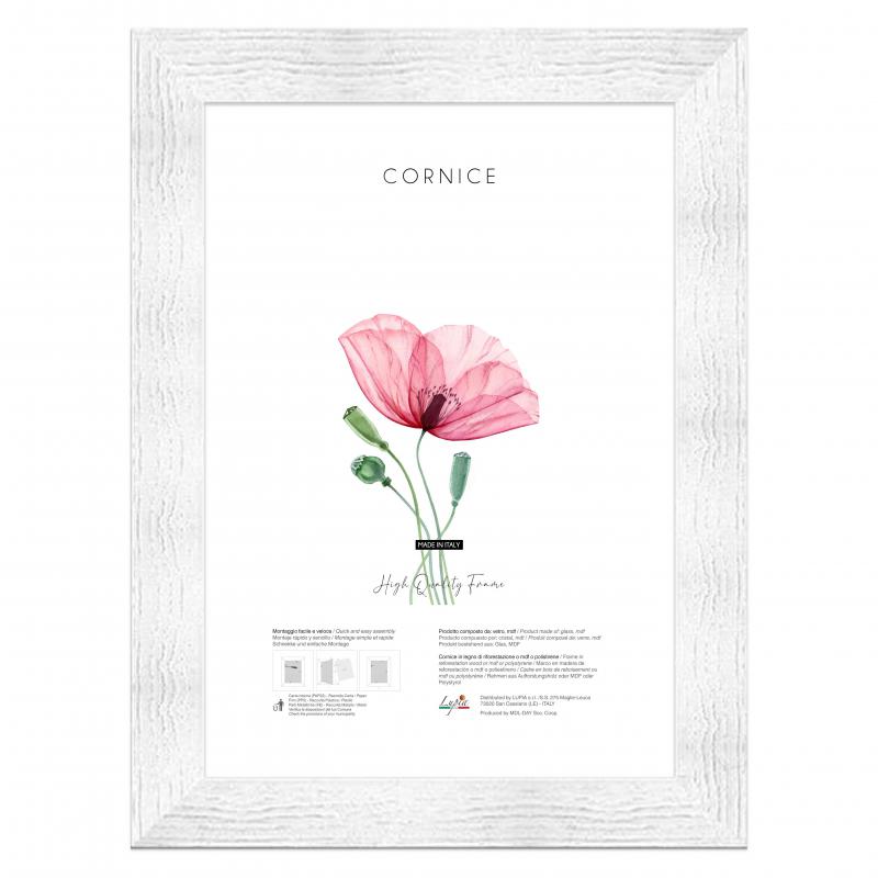 Cornice foto legno da parete shabby BOSTON WHITE, per stampe, pergamene diplomi, poster, quadri moderni - 35x50 cm del brand Lupia, categoria: Arredo e decorazioni > Cornici e Portafoto > Cornici portafoto da parete, disponibile su Vorreishop.