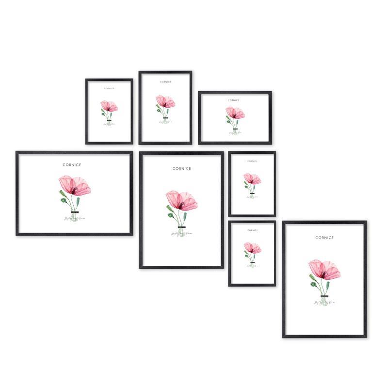 SET Cornici in legno da parete OPTICAL colorazione NERA con vetro Portafoto, stampe, poster, documenti - Set 5pz 10x15 cm del brand Lupia, categoria: Arredo e decorazioni > Cornici e Portafoto > Cornici portafoto da parete.