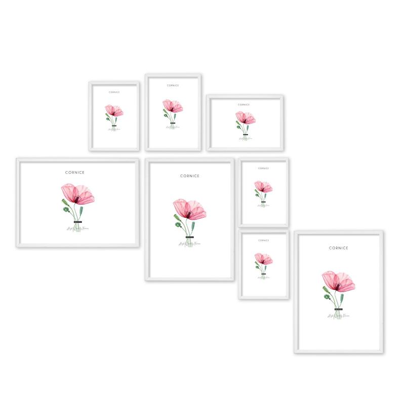 SET Cornici in legno da parete OPTICAL colorazione BIANCA con vetro Portafoto, stampe, poster, documenti - Set 5pz 10x15 cm del brand Lupia, categoria: Arredo e decorazioni > Cornici e Portafoto > Cornici portafoto da parete.