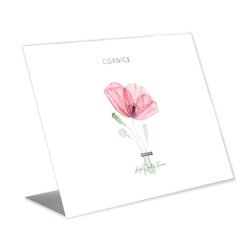 Lupia - Portadocumenti in Acrilico trasparente KRYSTAL | 18x24 cm Orizzontale da tavolo | Spessore 1,3 mm Acrilico, Realizzato in Italia del brand Lupia, categoria: Idee regalo e bomboniere > Oggettistica > Portadocumenti in Acrilico, disponibile su Vorreishop.