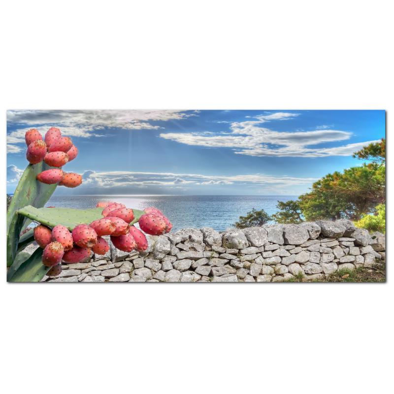 Lupia - Quadro moderno su Tela Canvas DEEP 65X143 cm, con paesaggi e localismi italiani, per casa, soggiorno, capezzale camera da letto, hotel, ufficio, PUGLIA - PAESAGGIO TIPICO SUD GIORNO   del brand Lupia, categoria: Arredo e decorazioni > Quadri e Tele > Quadri cittÃ  e Localismi, disponibile su Vorreishop.